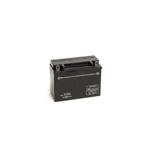BM301/D CTX6,5-BS