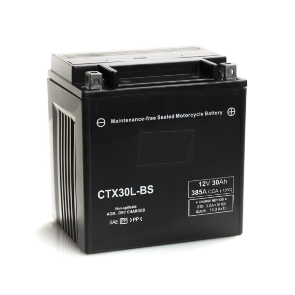 BM310 CTX30L-BS